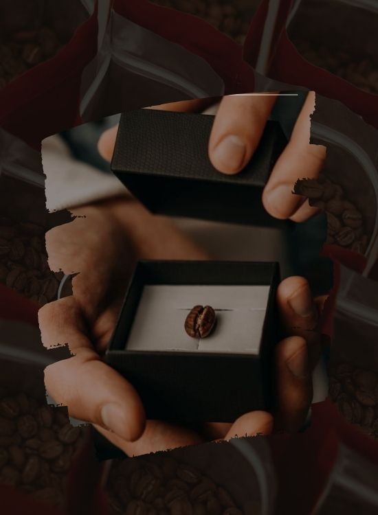 Grano de café selección