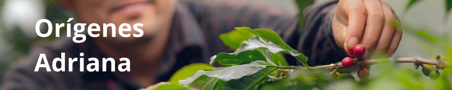 Origenes Adriana