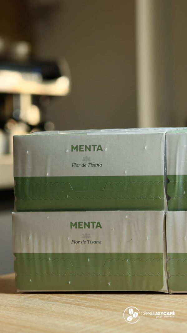 Infusión Menta poleo en sobres
