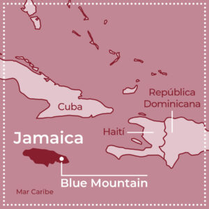Jamaica Blue Mountain