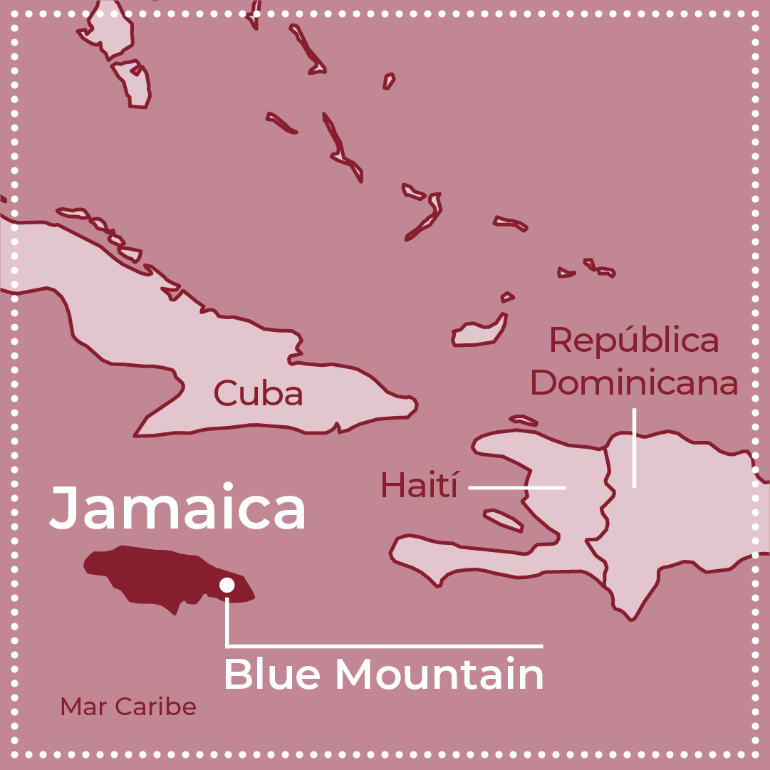 Jamaica Blue Mountain